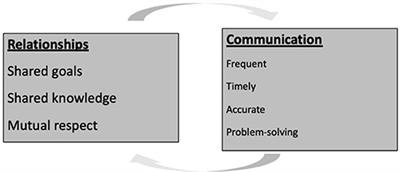 Timely Communication Through Telehealth: Added Value for a Caregiver During COVID-19